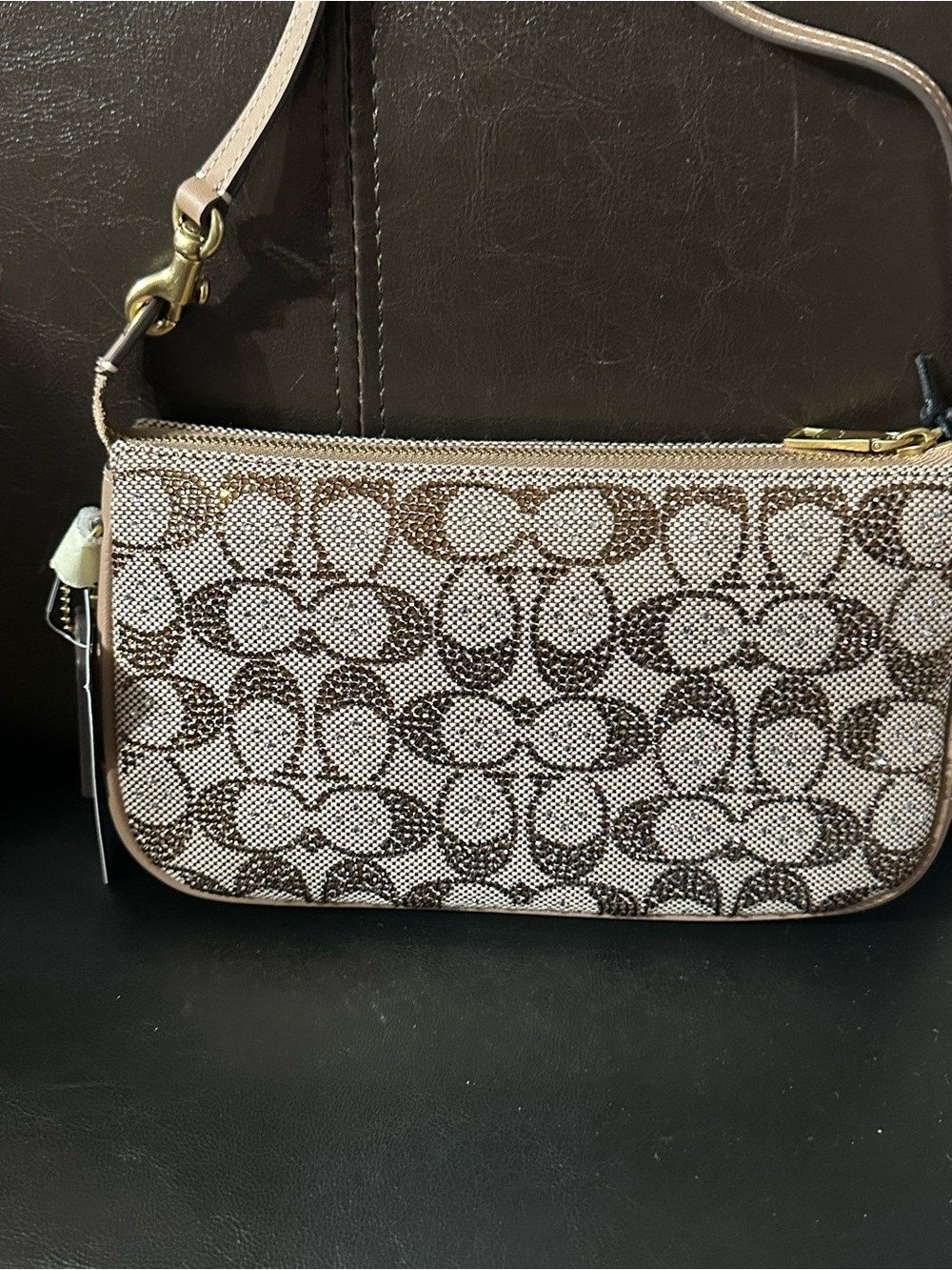 Coach Plaza Signature Crystal Bag,New